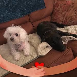 Meet your Posher, Donna